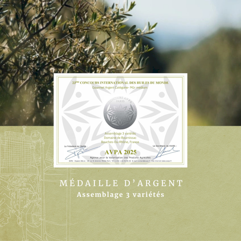 Deux nouvelles distinctions au concours AVPA 2025