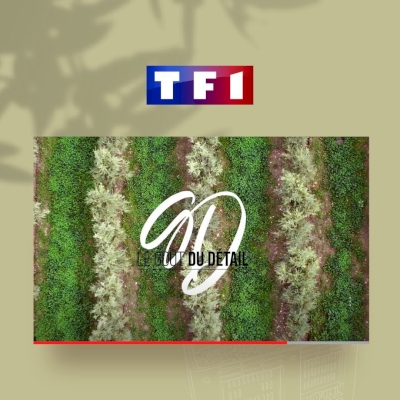 Le goût du détail, un reportage réalisé par TF1 !