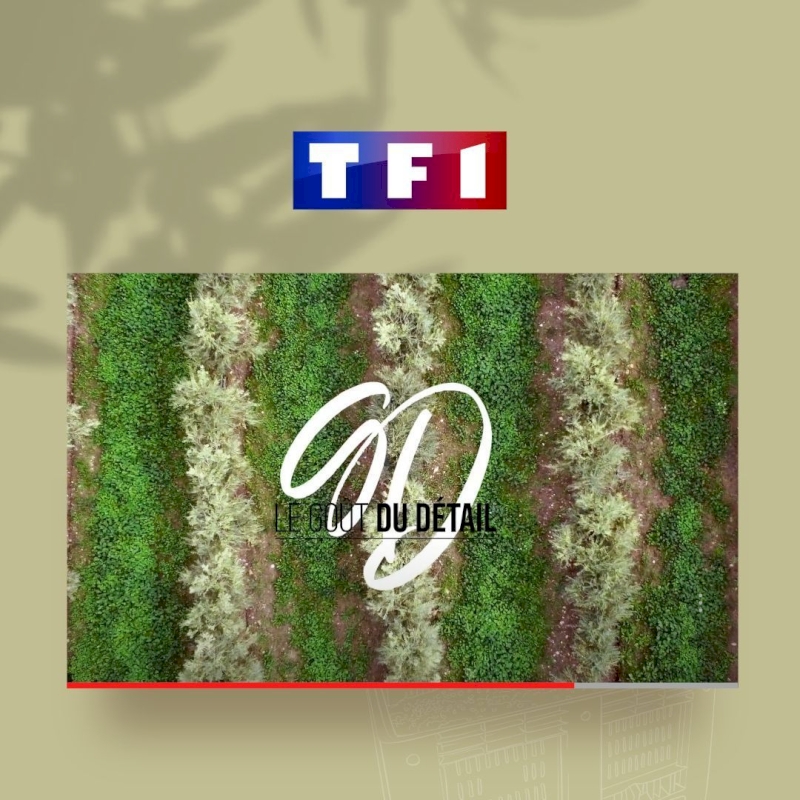 Le goût du détail, un reportage réalisé par TF1 !